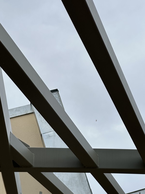 thermolaquage ral 7003